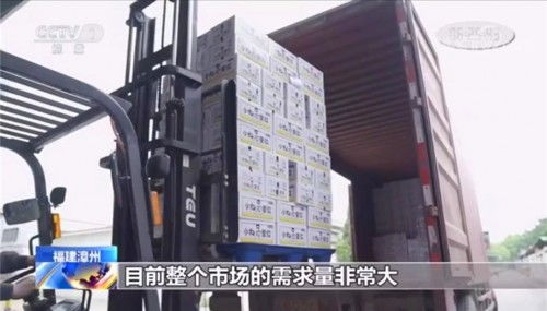 小白心里軟榮獲央視認(rèn)可點贊